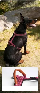 Close-up detail showing the premium soft leather handle of a reflective dog harness