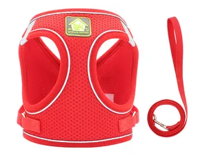Rood ademend mesh hondentuigje met bijpassende riem en lichte reflecterende strips