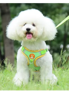 Close-up of a breathable green and yellow reflective dog harness worn by a white poodle dog