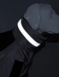 Detail showing high-visibility reflective collar on waterproof winter dog puffer jacket
