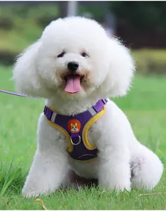 Front view of a purple breathable pet harness with corgi patch on a small white dog.