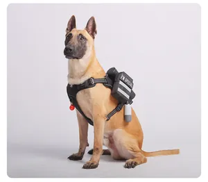 Arnés táctico para perro con bolsas laterales sobre un modelo de perro Malinois