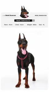 Reflektierendes Hundegeschirr für große Hunde an einem Dobermann Modell in XL
