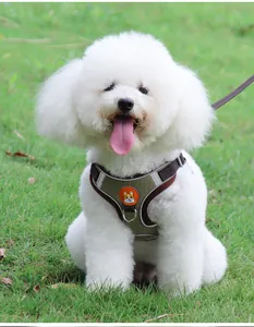 Close-up of a white dog wearing a breathable reflective olive green pet harness vest