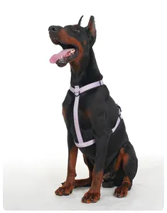 Professionelles reflektierendes lila Hundegeschirr am Dobermann für Spaziergänge und Training