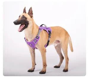 Arnés táctico morado resistente para perros grandes demostrado en un Malinois.