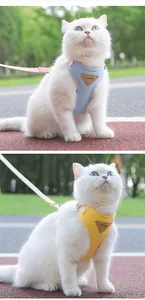Detailed view of white cat wearing light blue and yellow pet harness with leash