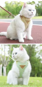 Detail view of breathable mesh pet harness in khaki and green on a white cat.