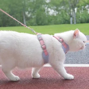 Adjustable H-shaped pet harness with leash set for small dogs and cats outdoor walking.