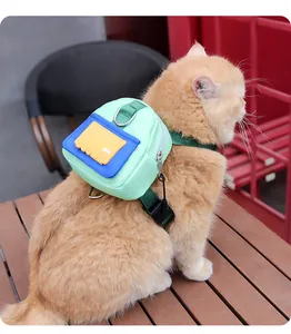 Detailed view of the mint green cat backpack harness featuring a secure buckle on a ginger cat