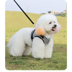 Breathable mesh dog harness and leash set for small dogs and cats in grey vest style