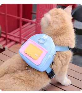 Close-up detail of a blue pet harness backpack with pink and yellow accents on a cat.
