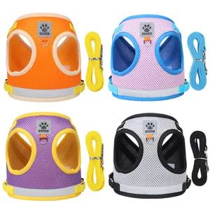 Breathable mesh pet harness and leash set in four color variants for small dogs and cats