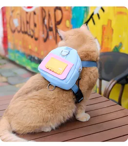 Detailed view of blue cat backpack harness with DUOMM logo worn by a cat on a table.