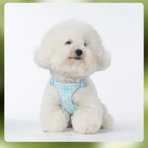 White Bichon Frise wearing a blue daisy-patterned dog harness for small pets