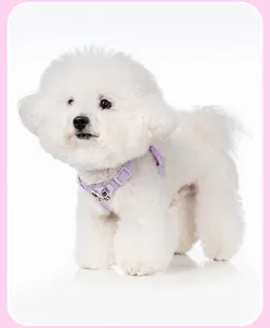 Detail shot of the elegant purple small dog harness with a silver butterfly bow accent