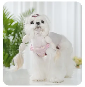 Close-up of pink daisy patterned dog harness on a small white dog in a bright room