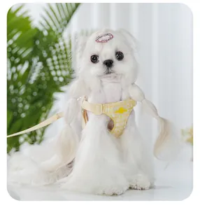 Detailed view of a yellow daisy pattern pet harness on a small white dog with leash