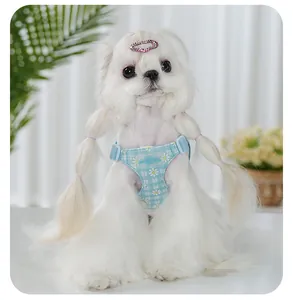 Adjustable light blue daisy print dog harness on a fluffy small white dog model