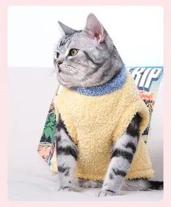 Gros plan d'un chat tigré argenté portant un gilet en polaire jaune à col bleu