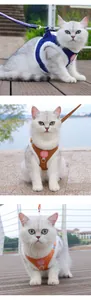 Soft corduroy cat harness vest and leash set for small dogs and kittens, outdoor walking.
