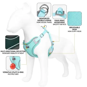 Atmungsaktives Mesh-Hundegeschirr mit Reflexstreifen und Doppel-D-Ringen für kleine Hunde