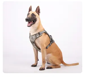 Vista detallada de un arnés táctico de camuflaje para un perro Malinois de gran tamaño