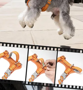 Detailed view of the adjustable orange reflective dog harness with durable quick-release buckles