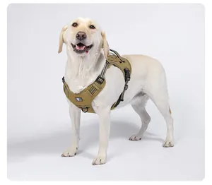 Arnés táctico para perros en un Labrador muestra durabilidad y tiras reflectantes