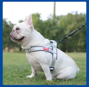 Reflective silver dog harness and leash set shown on a French Bulldog in a park