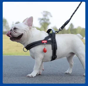 Reflective black pet harness and leash set shown on a white French Bulldog outdoors
