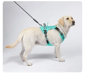 Vista lateral de un labrador con un arnés táctico para perros verde menta y una correa.