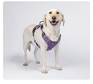 Detalle de arnés táctico morado para perros grandes con tiras reflectantes y asa