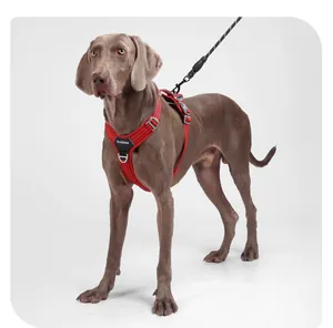 Langlebiges rotes reflektierendes Hundegeschirr für große Hunde an einem Weimaraner.