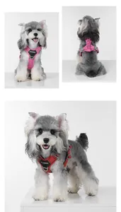 Detailed views of reflective no-pull dog harness in pink and red on a small pet