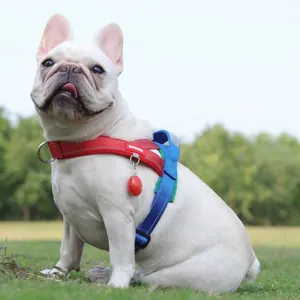 Outdoor reflective saddle-style dog harness in vibrant red and blue patchwork colors.