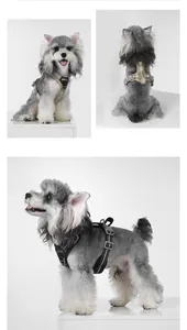 Professional reflective no-pull dog harness detail view showing front, back and side angles