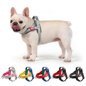 Reflective padded dog harness for small dogs with multiple color options