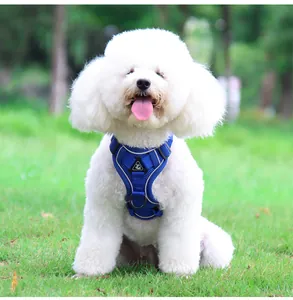 Nahaufnahme eines blau reflektierenden atmungsaktiven Hundegeschirrs an einem weißen Hund