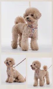 Vues détaillées d'un ensemble harnais, collier et laisse à carreaux pour petit chien