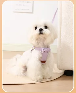 Close-up of a white dog wearing a purple faux suede vest-style harness and leash