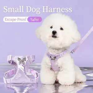 Elegant purple dog harness with metal butterfly for small dogs