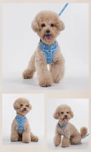 Vues multi-angles professionnelles d'un ensemble harnais et laisse à carreaux bleus