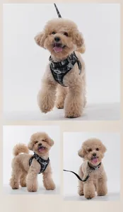 Harnais pour chien à carreaux de style gilet confortable et laisse assortie sur caniche