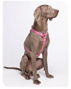 Detailansicht eines pinkfarbenen, reflektierenden Hundegeschirrs an einem großen Hund
