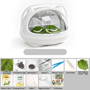 Complete silkworm breeding kit including cage, eggs, mulberry leaves, and accessory tools.