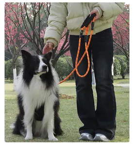 Orange reflective heavy-duty rope dog leash shown in an outdoor park setting with a dog