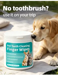 Lingettes de nettoyage dentaire pour animaux avec un chien Golden Retriever en extérieur.