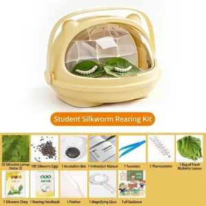 Detail view of silkworm breeding kit including larvae eggs and tools