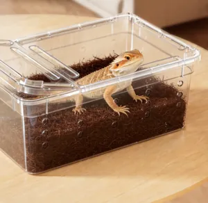 Detail einer transparenten Reptilienzuchtbox mit einer Bartagame im Inneren auf Substrat